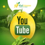 14 anni fa nasceva YouTube, il secondo sito più visitato al mondo YouTube