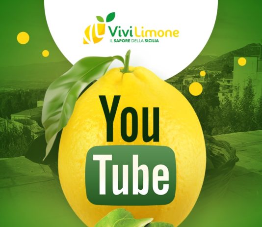 14 anni fa nasceva YouTube, il secondo sito più visitato al mondo YouTube