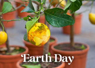 I numerosi usi del limone a sostegno dell’Earth Day