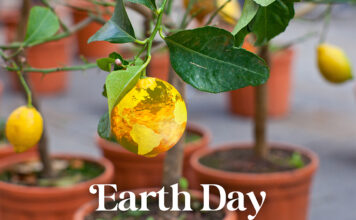 I numerosi usi del limone a sostegno dell’Earth Day