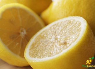 La ricchezza del Limonene: benefici e proprietà Limonene