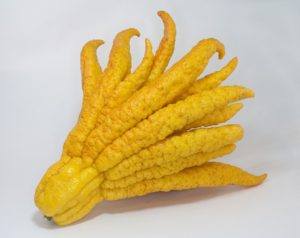  mano di buddha