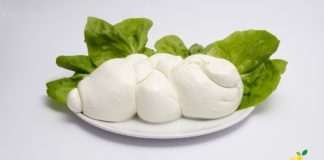 Barchette di foglie di limone con mozzarella filante