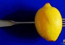 insalata di limoni