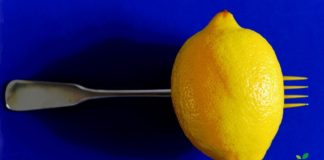 insalata di limoni