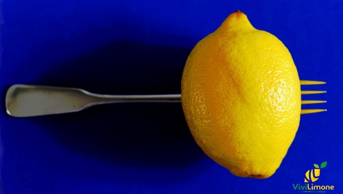 insalata di limoni