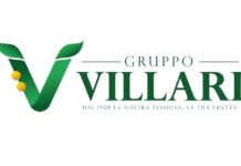 Gruppo Villari