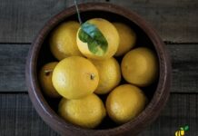 limoni farciti mozzarella e pomodorini