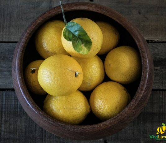 Limoni farciti con mozzarella filante e pomodorini limoni farciti mozzarella e pomodorini